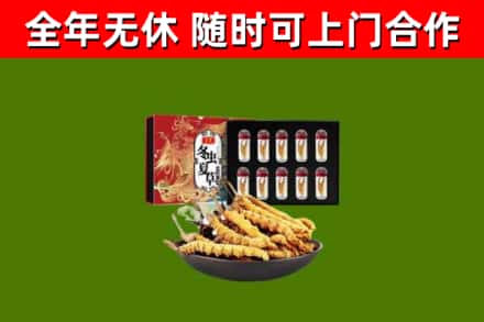 新河回收冬虫夏草价格