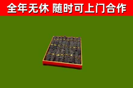 新河回收海参